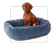 Bowsers Bed Donut Large