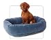 Bowsers Bed Donut Large