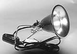 Dayspot Grow Light 150 Watt