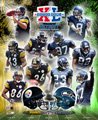 Pittsburgh Steelers Seattle Seahawks Super Bowl XL Rivalry Photograph
