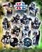 Pittsburgh Steelers Seattle Seahawks Super Bowl XL Rivalry Photograph