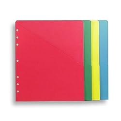 Day-Timer ColorFile Slash Pockets for Looseleaf Planners, 8.5 x 11 Inches, 4 per Pack (87498)