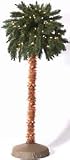 General Foam Plastics #TS-PT5000 5' Clear Palm Art Tree