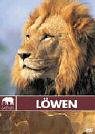 Eigenschaften   / Safari - Löwen