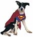 Superman Dog Costume - MEDIUM