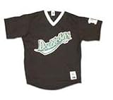 Minor League Baseball Auburn Doubledays V Neck Adult Jersey - B000A156GW