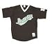 Minor League Baseball Auburn Doubledays V Neck Adult Jersey