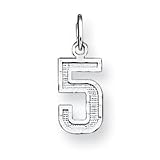 Sterling Silver Small Diamond-cut #5 Charm