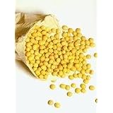 Futures Trading System: Soybean