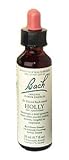 Bach Flower Remedies Holly 20ml from Bach Flower Remedies