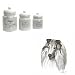 Collie Canister Set, Porcelain by Rosalinde