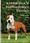 American Staffordshire Terrier