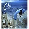 Cats of the Greek Islands