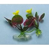 Frogbit Plant - 3 12 in.