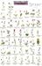 Mac's Guide-Pac Nw Wildflowers (Mac's Guides (Flash Cards))