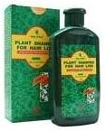 Plant Shampoo For Hair Loss - Acceleration Regrowth Formula by Deity of Hair
