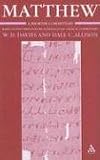 Matthew: A Shorter Commentary (International Critical Commentary): A Shorter Commentary (International Critical Commentary)