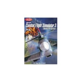 Combat Flight Simulator 3