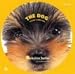 THE DOG �衼�����㡼���ƥꥢ 
