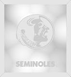 Florida State Seminoles Beveled Wall Mirror
