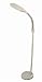 Kitchen & Housewares : Ultra Bright Floor Standing Craft Lamp