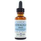 Astragalus Root Alcohol Free - Healthy Immune Functions, 1 oz., (Gaia Herbs)