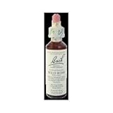 Bach Wild Rose (1x20 ML)