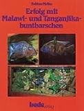 Erfolg mit Malawibuntbarschen und Tanganjikabuntba