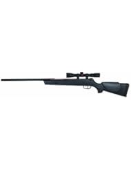 Sports: Gamo Big Cat 1250 Air Rifle with 4 x 32 Rifle Scope and PBA Platinum Pellets .177 Caliber - Gamo