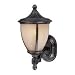 13-1/4-Inch Outdoor Wall Light