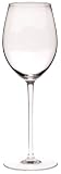 Riedel Sommeliers Loire Glass, Packed in a Single Gift Tube