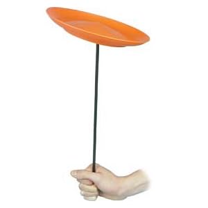 Spinning Plate Spinning Plate