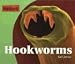 Parasites! - Hookworms