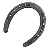 DIAMOND DC000 CLASIC PLAIN HORSESHOE