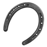 DIAMOND DC000 CLASIC PLAIN HORSESHOE