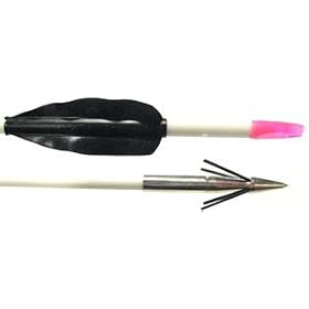 Buy Cajun Archery Lil Stinger IV Fish Arrows - 12Pk