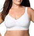 JMS Casual Attitude Cotton Spandex Wire Free
