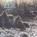 Music : Murmur