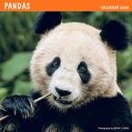 Pandas Mini (LEM) 2008