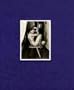 Carlo Mollino: Photographs 1956-1962