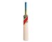 SLAZENGER V360 Super Erwachsene Cricket Bat