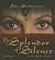 The Splendor of Silence: A Novel