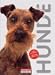 Image of Hunde