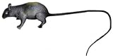 Fake Rat