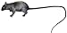  : Fake Rat
