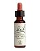 Bach Flower Essences Heather ( 20 ml ) (Calluna vulgaris)