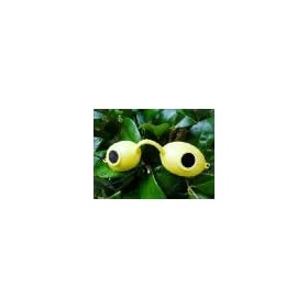 Super Sunnies UV Eye Protection Tanning Goggles Eyeshields One Pair