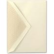 25 Ecruwhite #9 Embassy Pearlized Dot Lined Envelope