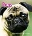 pug4  - Pugs 2010 Hardcover Engagement Calendar