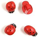 30 Pieces Wood Cartoon Sewing Fasteners Buttons Sew On Notions Supplies H0175 Four Ladybugs for Clothes Pack Backpacks Crafting in bulk assorted large